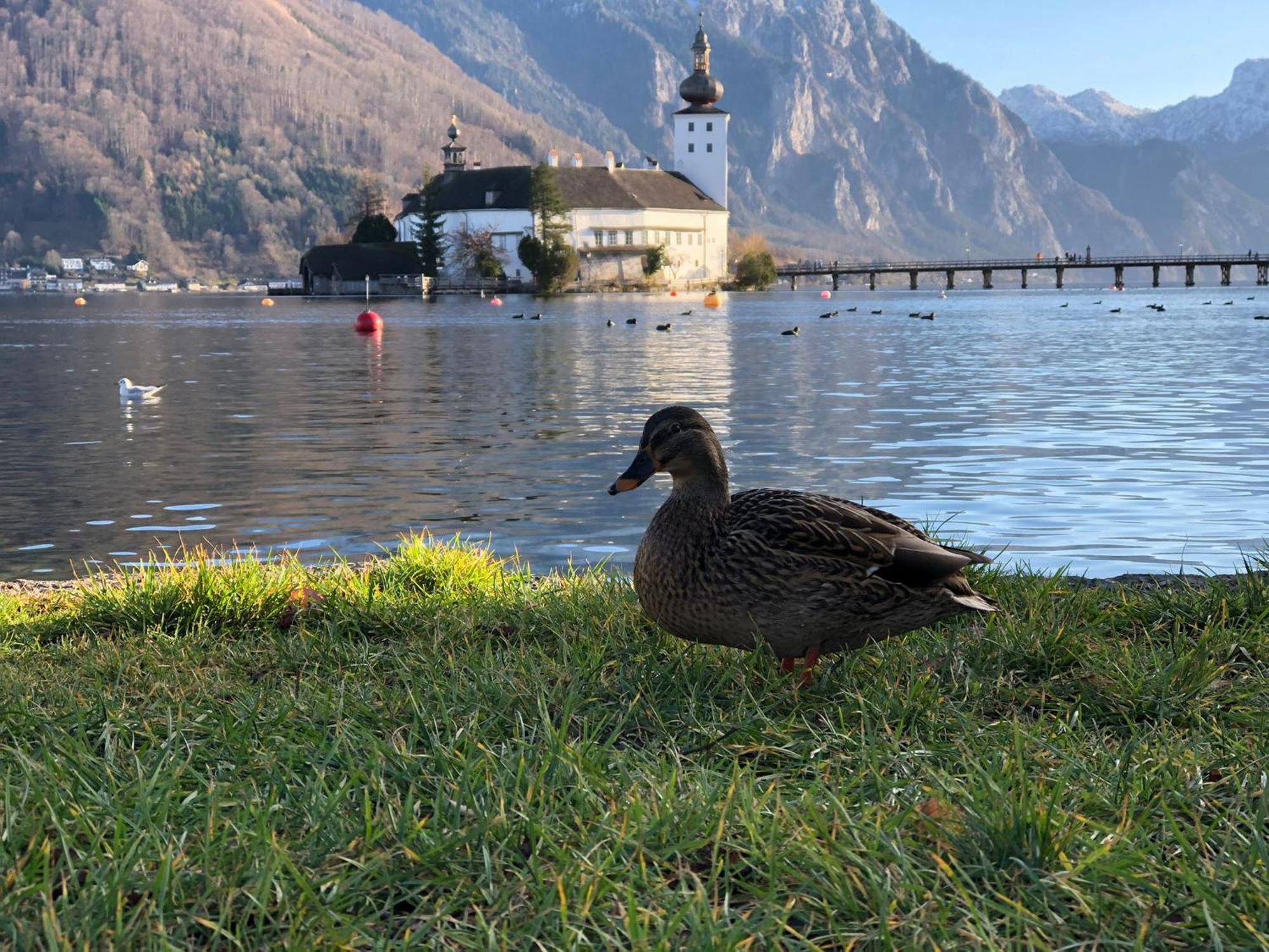 Seepanorama An Der Esplanade 1 Gmunden Extérieur photo
