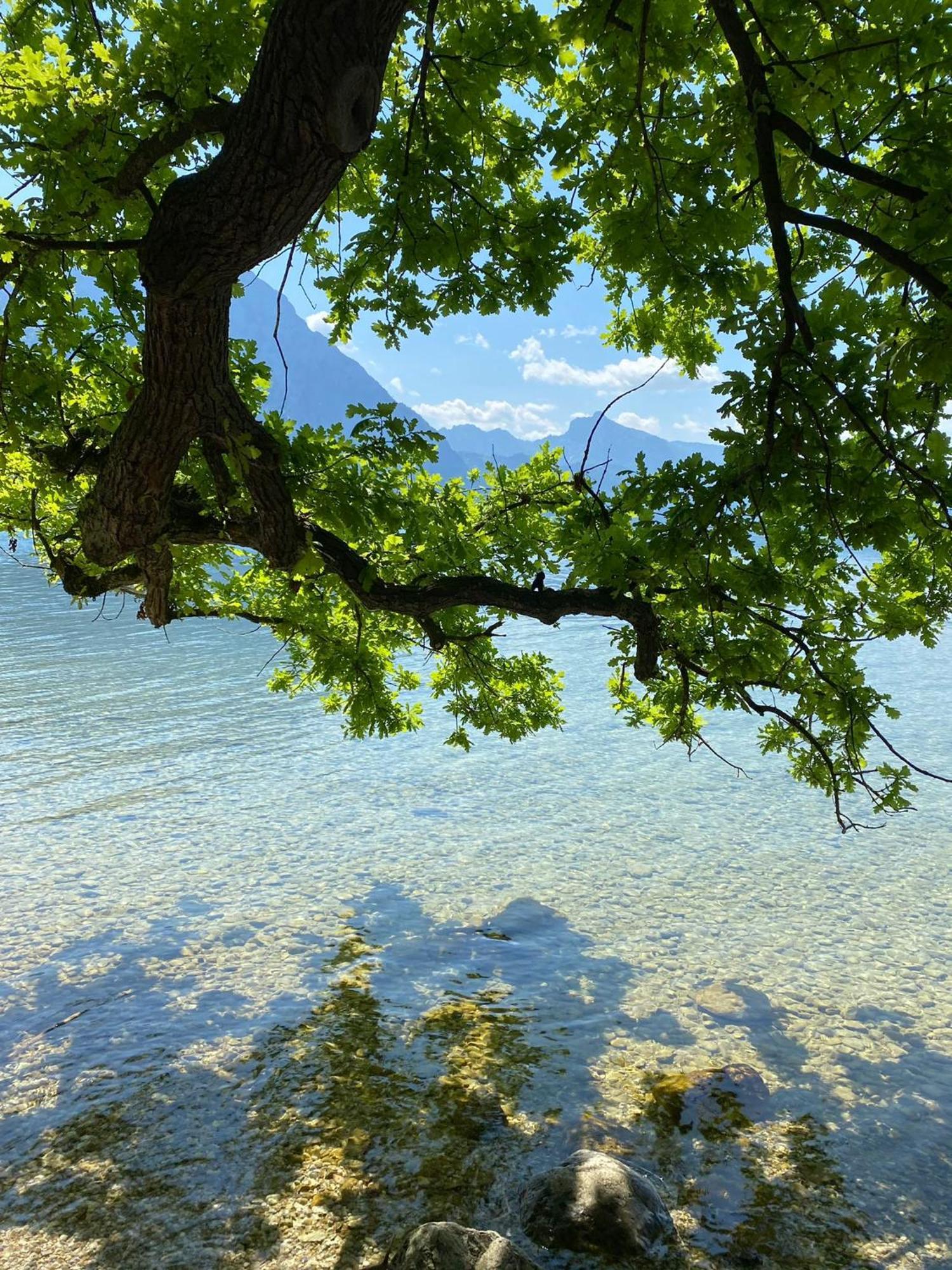 Seepanorama An Der Esplanade 1 Gmunden Extérieur photo